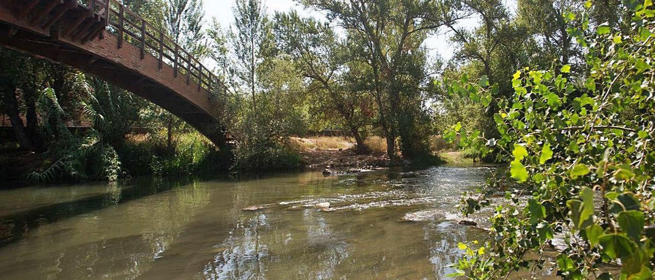 Medio Ambiente aspira a recibir fondos de la UE para ampliar el Parc del  Túria - Levante-EMV