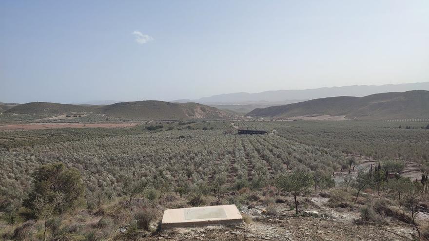 Deoleo y AEMO lanzan el 2º Concurso de Gestión Ambiental del Olivar