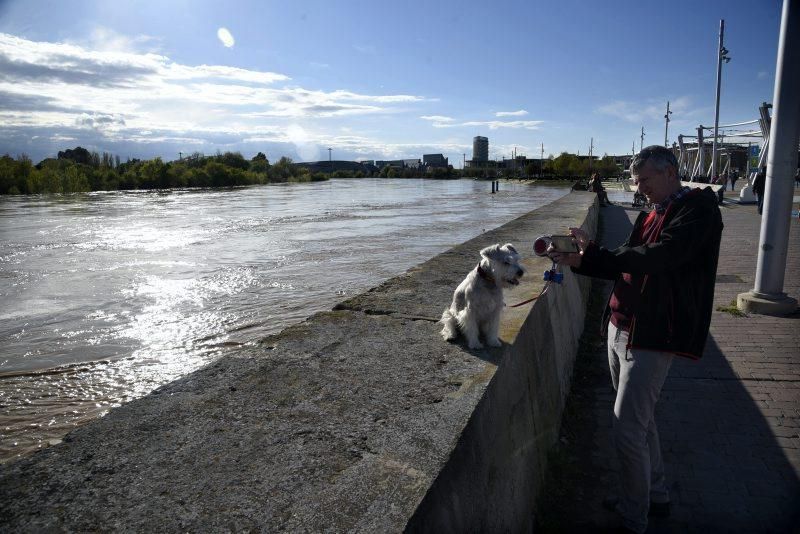 La crecida del Ebro se acerca a Zaragoza