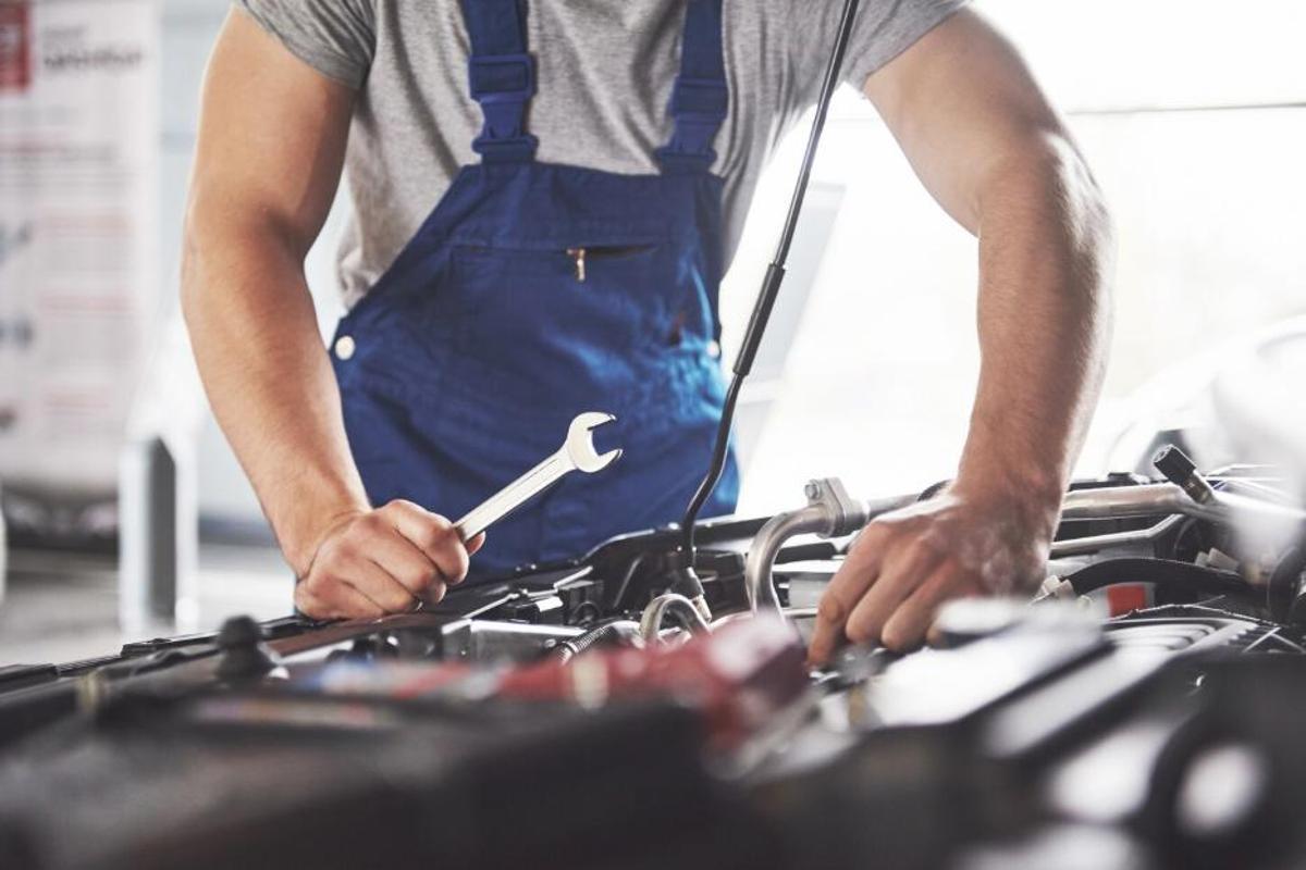 Les revisions periòdiques són imprescindibles