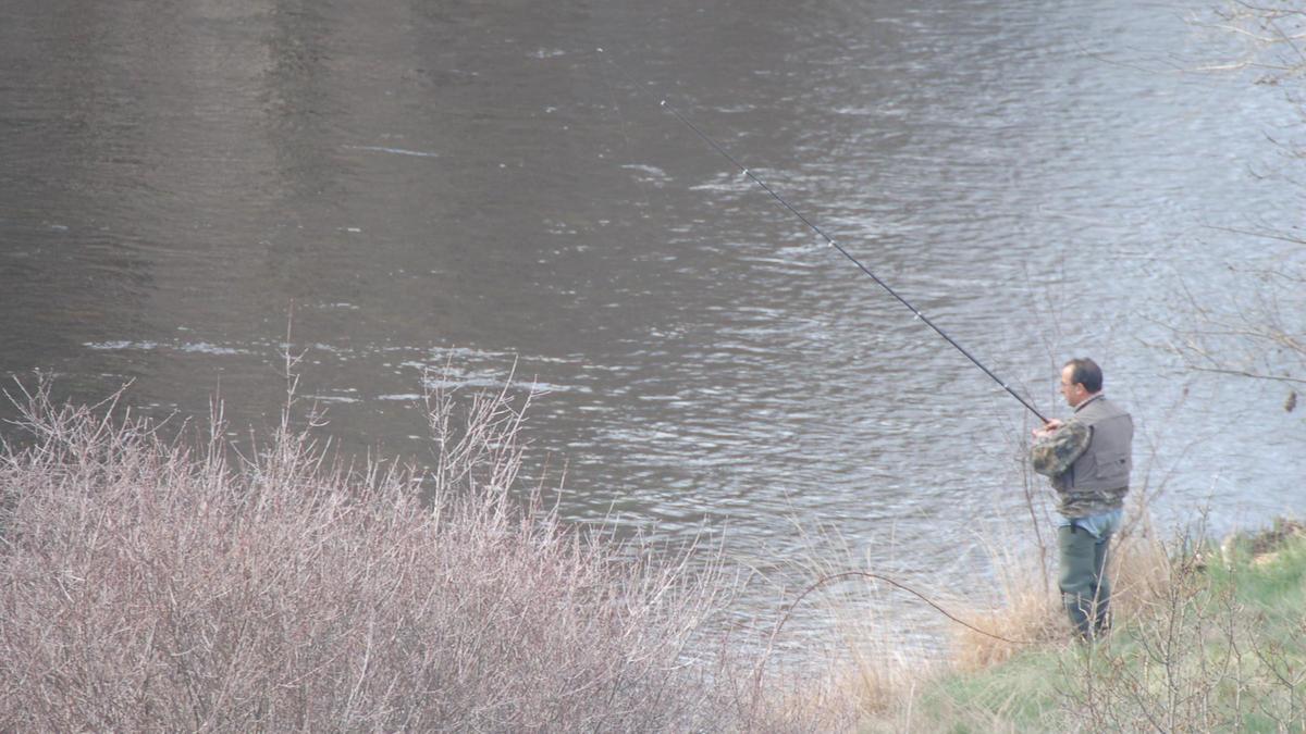 Un pescador en el río Tera