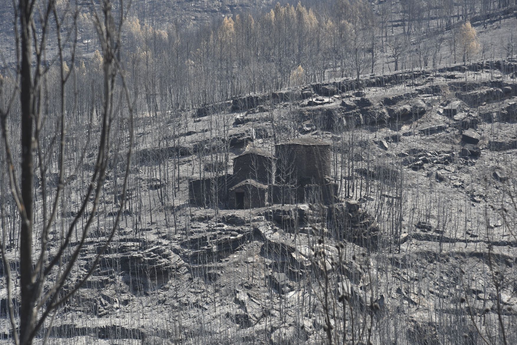 Així ha afectat el foc les tines de la Vall del Flequer