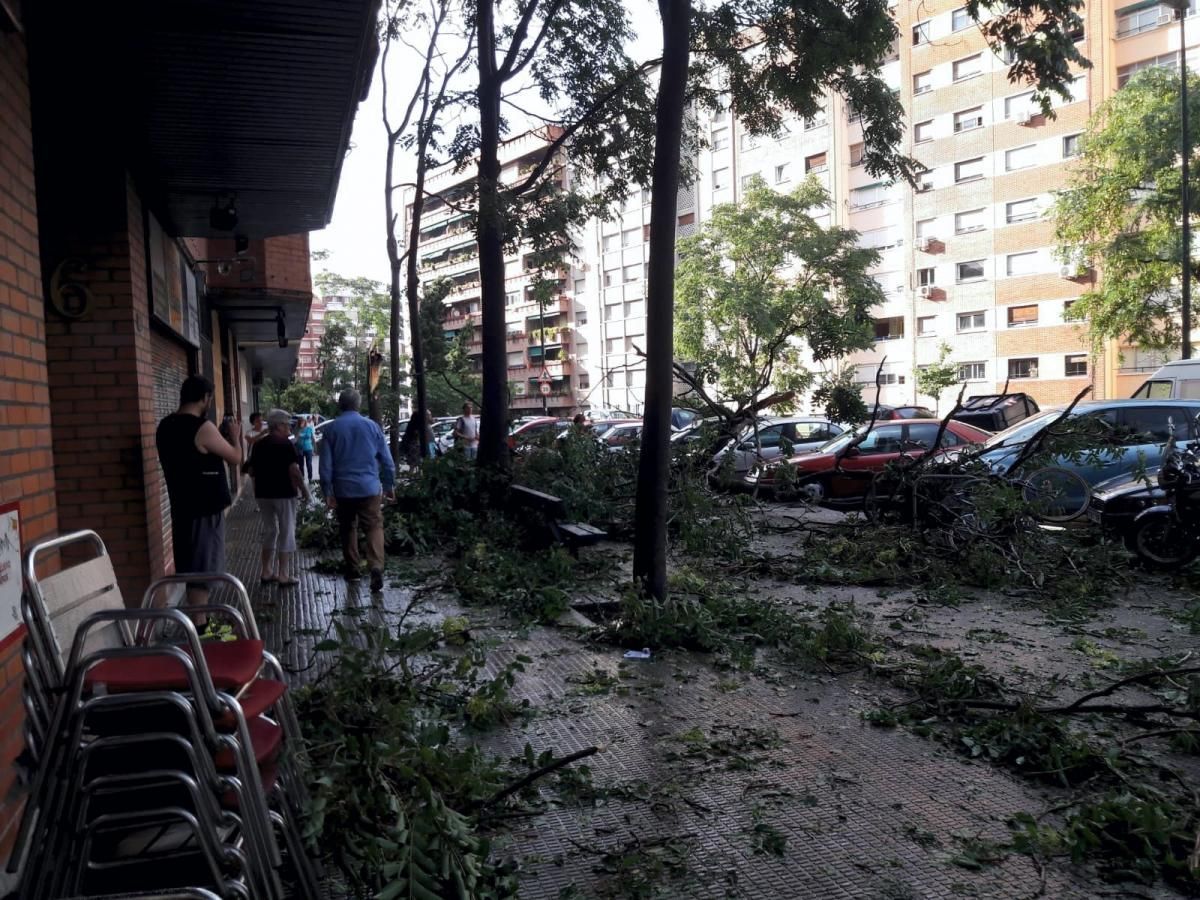 Consecuencias de la tormenta en Zaragoza