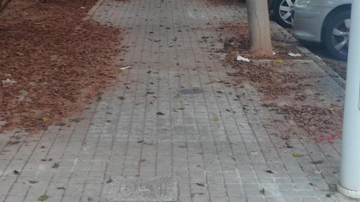 Estado que presenta una de las zonas del Port de Sagunt.