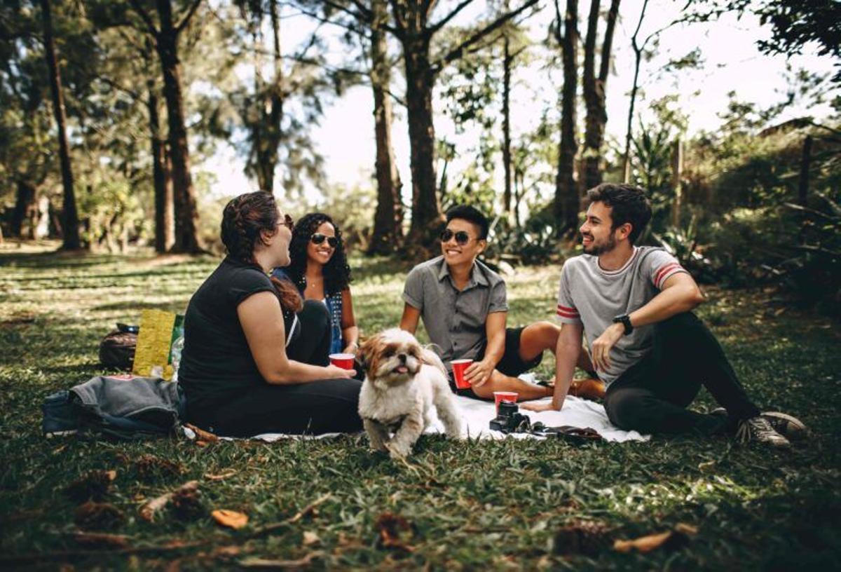 ¿Sales de picnic? Cuidado con las intoxicaciones