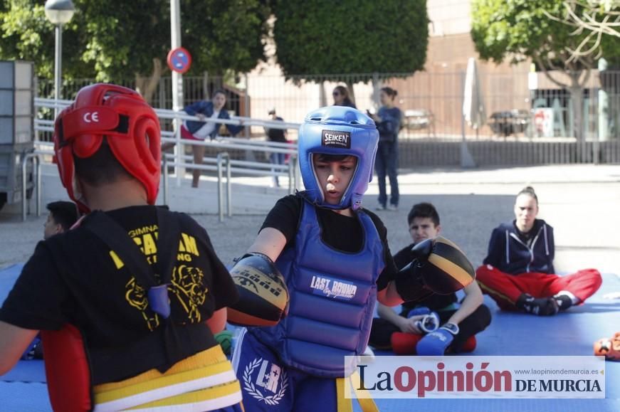 Fiesta del Deporte de Murcia (domingo)