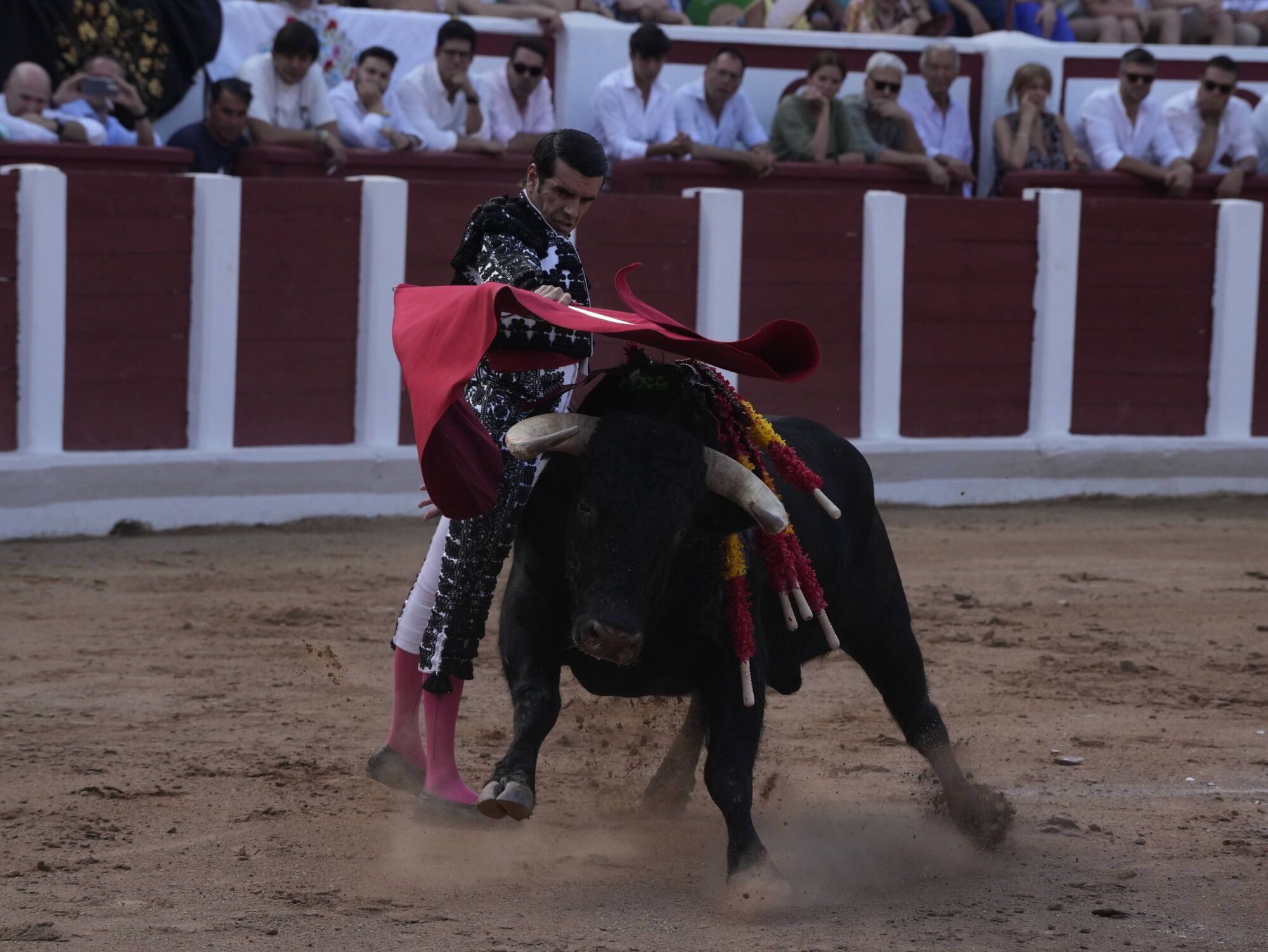 Las mejores imágenes de la feria taurina de San Pedro en Zamora.