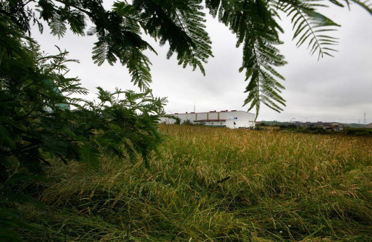 Terrenos en los que estaba previsto el desarrollo del polígono de Silvota-Rovés. | RICARDO SOLÍS