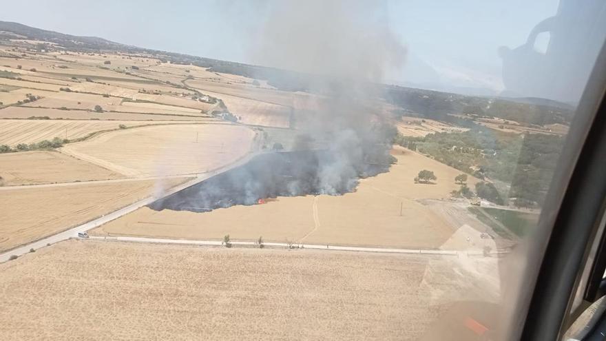 Controlado un incendio agrícola en Montuïri que afecta a unas 3 hectáreas