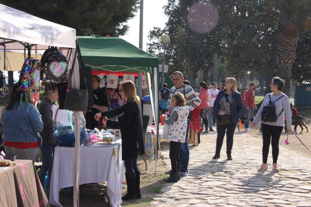 Festival de la Adopción de Perros de El Campello