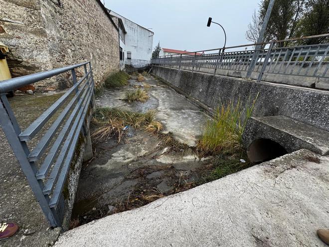 Con una inversión de casi 17 mil euros, Tragsa desbroza el cauce en Torremocha para proteger las viviendas