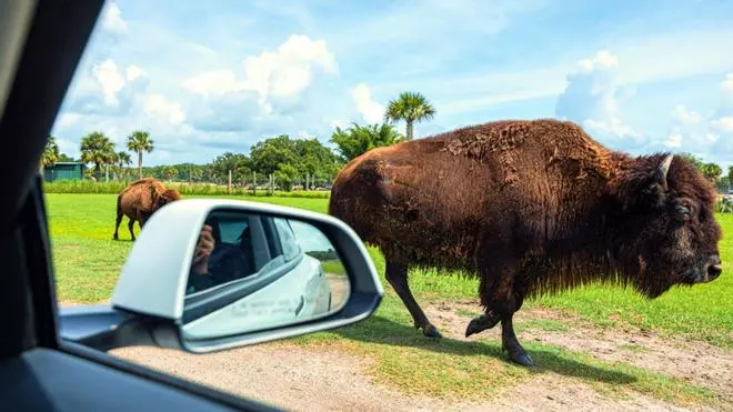 Kissimmee, la otra Florida: puerta de entrada a los grandes parques