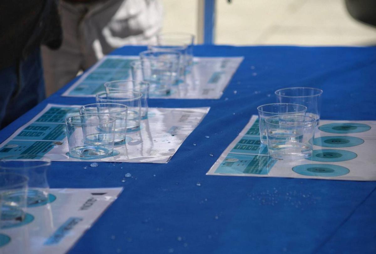 Detalle de la mesa con las muestras y las características a apreciar en la prueba. | ALBA PRIETO