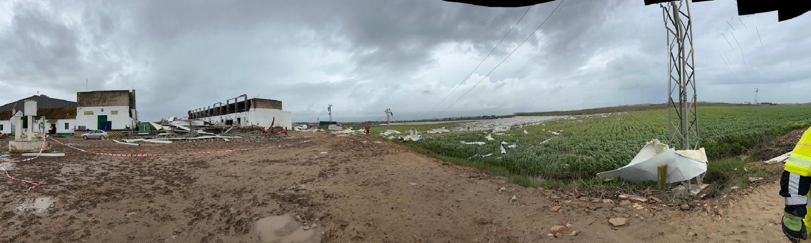 Fotogalería | Derrumbe de una nave agrícola en Coria del Río