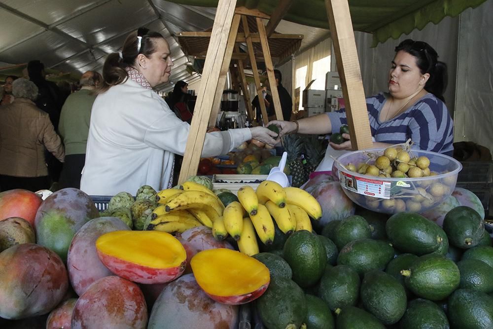 El Biocórdoba muestra los mejores productos biológicos andaluces.