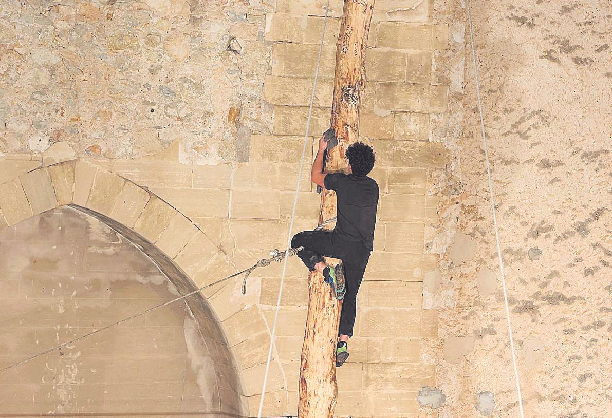 Bei Wind und Regen: So war das gefährliche Maibaumkraxeln zu Sant Antoni in Pollença auf Mallorca