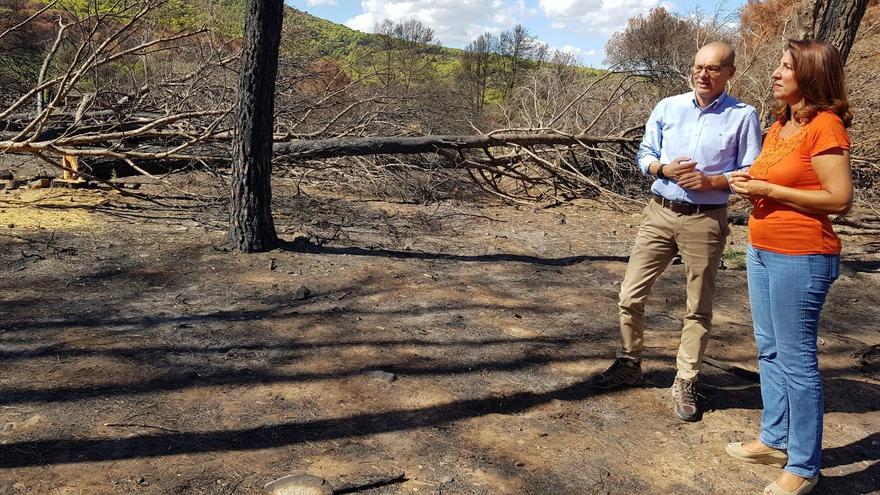 El delegado territorial de Sostenibilidad, Medio Ambiente y Economía Azul, José Antonio Víquez, y la alcaldesa de Alhaurín el Grande, Toñí Ledesma en el inicio de las obras de emergencia para la regeneración de la Sierra de Mijas