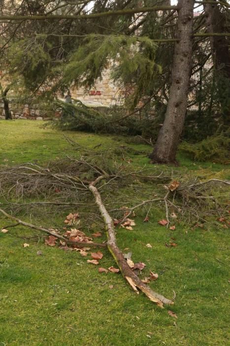 Temporal en Zamora.