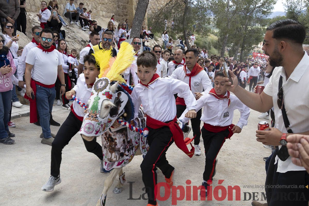Fiestas de Caravaca | Desfile infantil del Bando de los Caballos del Vino