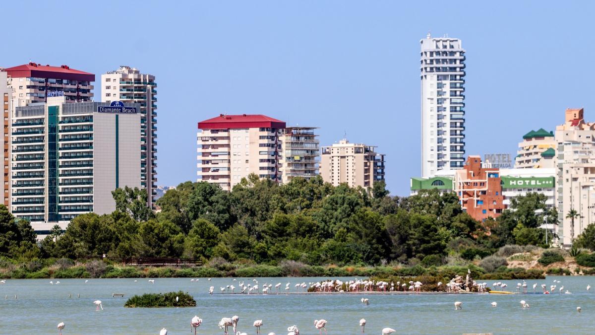 El humedal de les Salines de Calp