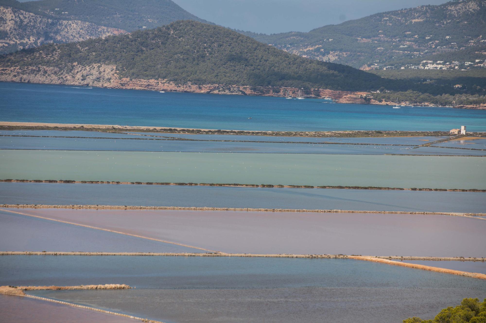 Salinera de Ibiza