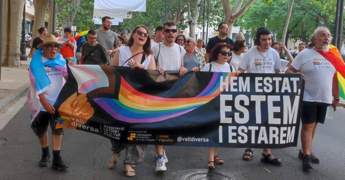 La Vall Diversa apoyando en una manifestación en Xàtiva