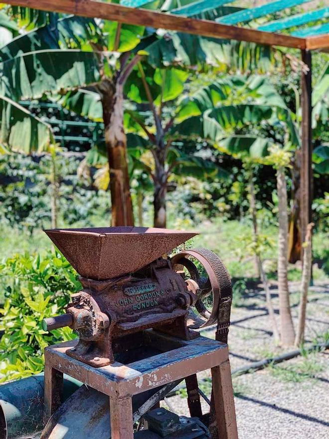 Finca la Laja