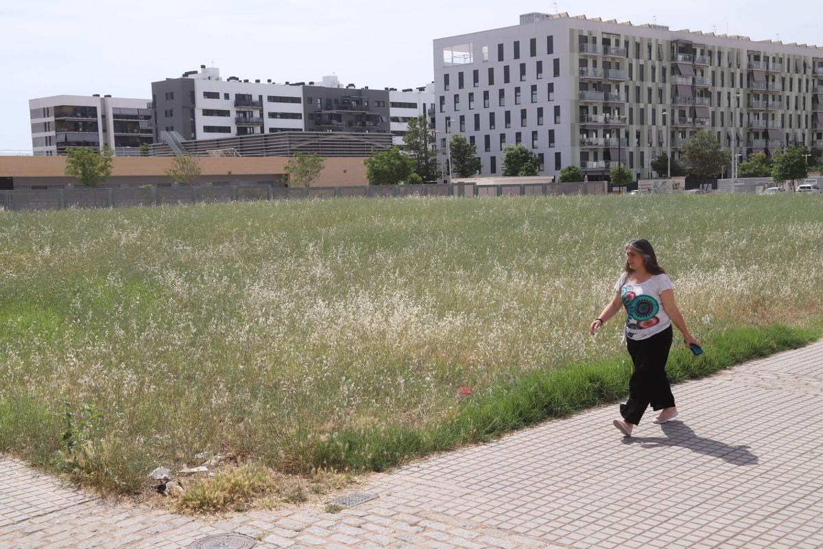 A.J.González Córdoba Solares Fuente de la Salud y Huerta de Santa Isabel