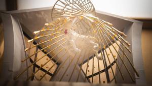 Barcelona 11/04/2025 El centro de exposiciones del Museo Diocesano de Barcelona acaba de inaugurar una exposición con la escultura del Cordero obra del italiano Andrea Mastrovito, que irá en el interior de la cruz de la torre de Jesús de la Sagrada Familia, un elemento que el propio Antoni Gaudí describió en los planos de la Basílica. Fotografía de Ferran Nadeu