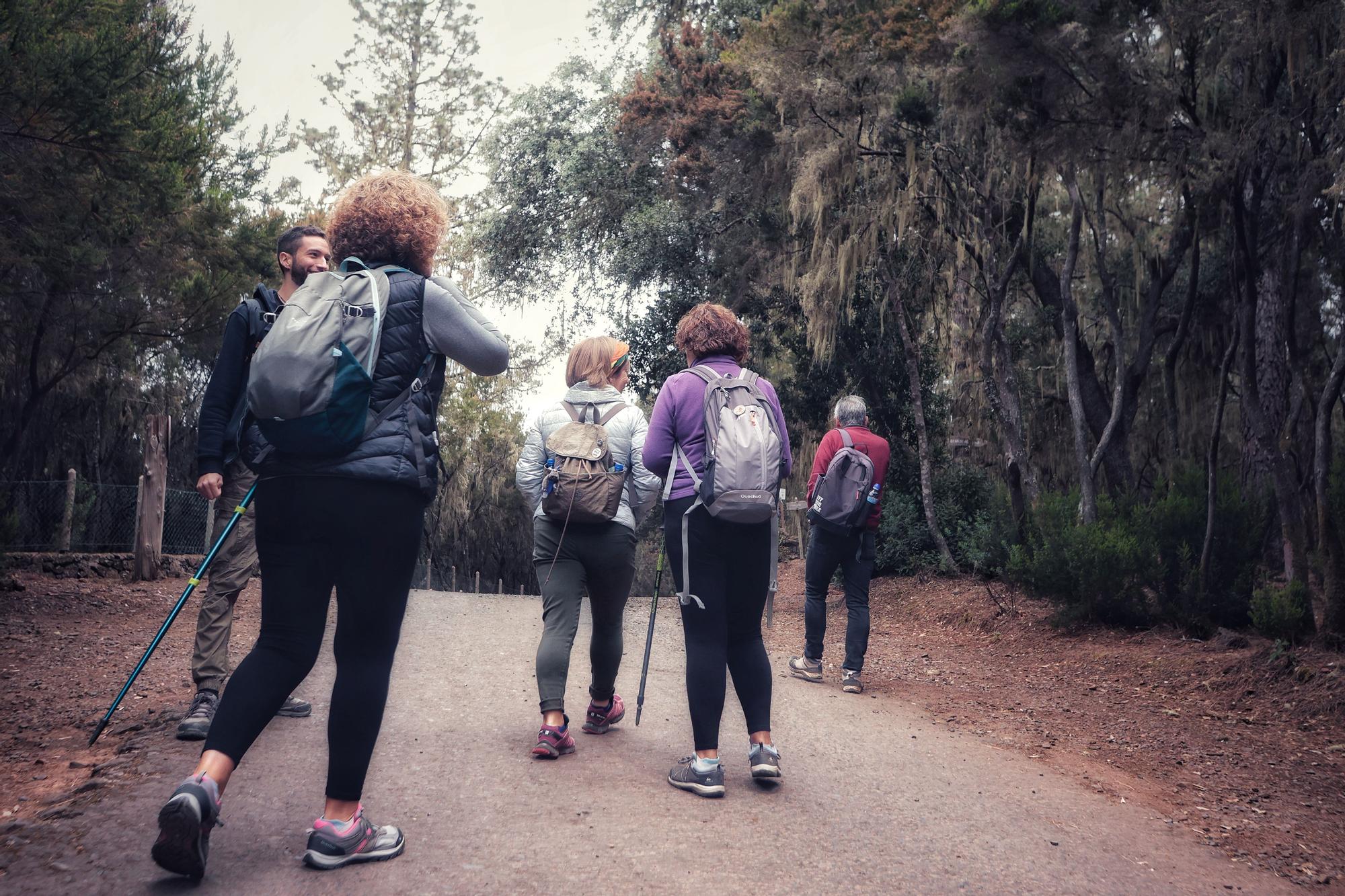 Tercera edición del Biomaratón de Flora Española, en el Parque Recreativo La Caldera, La Orotava