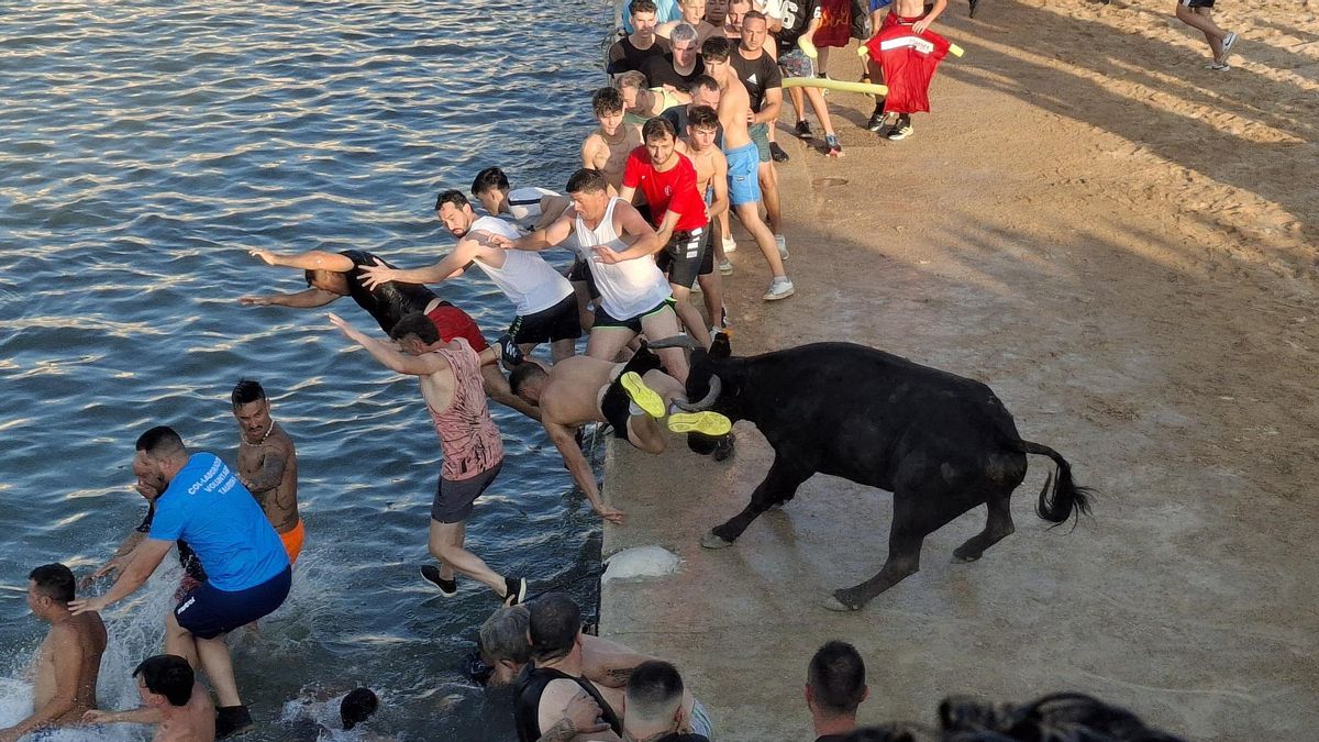 El bañador, desgarrado: la imagen de uno de los sustos de la primera tarde de "bous a la mar"