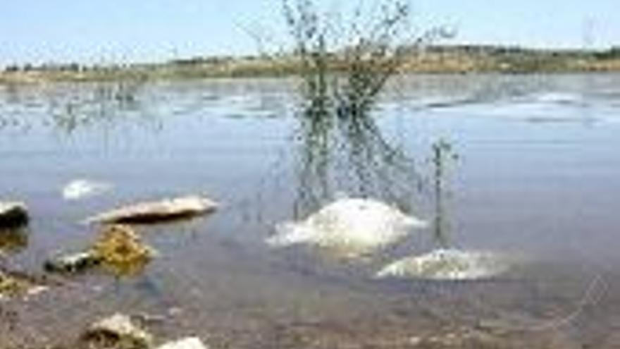 La Junta achaca a un virus la muerte de peces en Alange