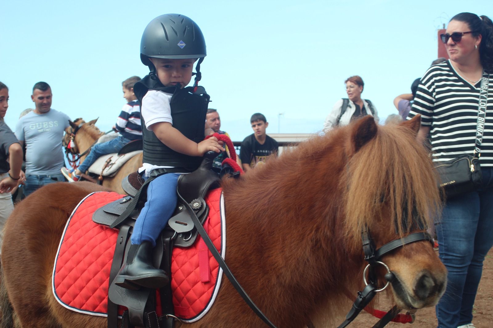 Romería de San Antonio Abad, en La Matanza