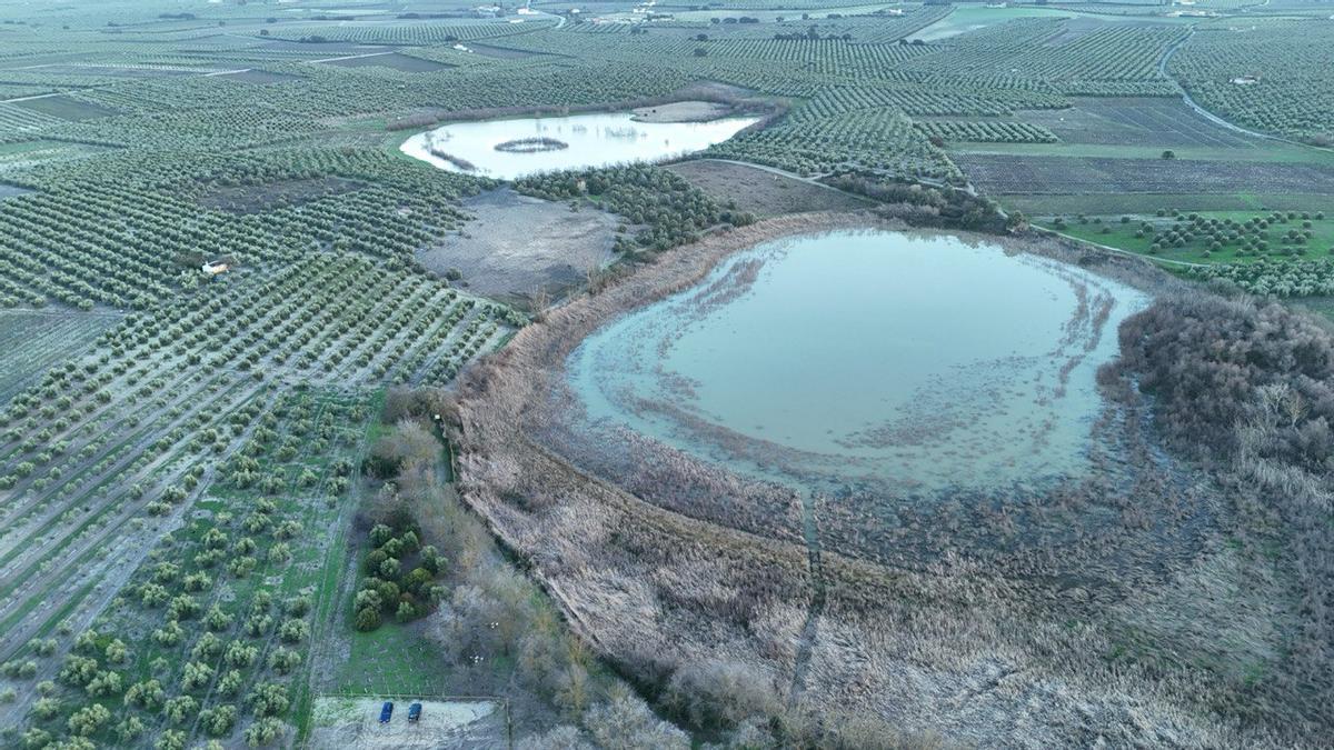 Las lagunas del Sur de Córdoba, a vista de pájaro