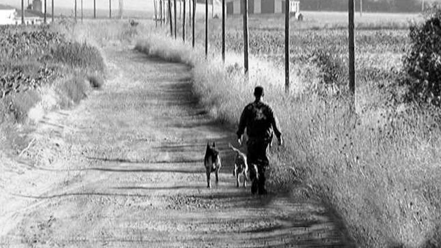 Un guardia civil con perros rastreadores durante las tareas de búsqueda.