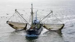 Denuncian que la pesca de arrastre sigue practicándose en áreas marinas protegidas de España