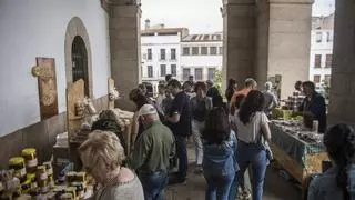 Cáceres combina arte contemporáneo y productos locales este domingo