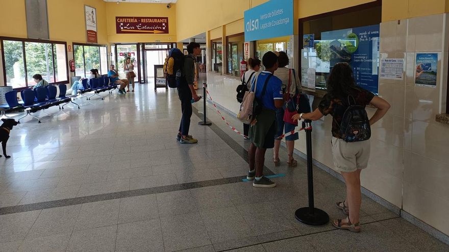 El Plan de Transporte a los Lagos de Covadonga, a pleno rendimiento