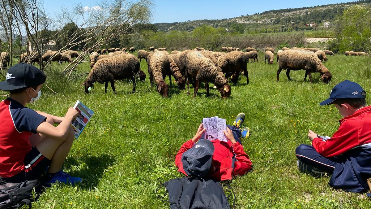 Los alumnos de quinto de Primaria del San Roque con la oveja valenciana.