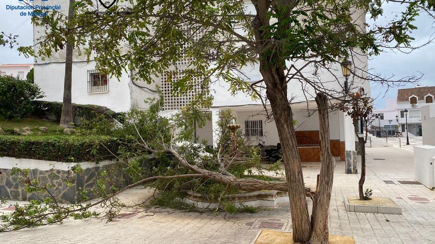 Los bomberos realizan una treintena de intervenciones por el fuerte viento en la provincia