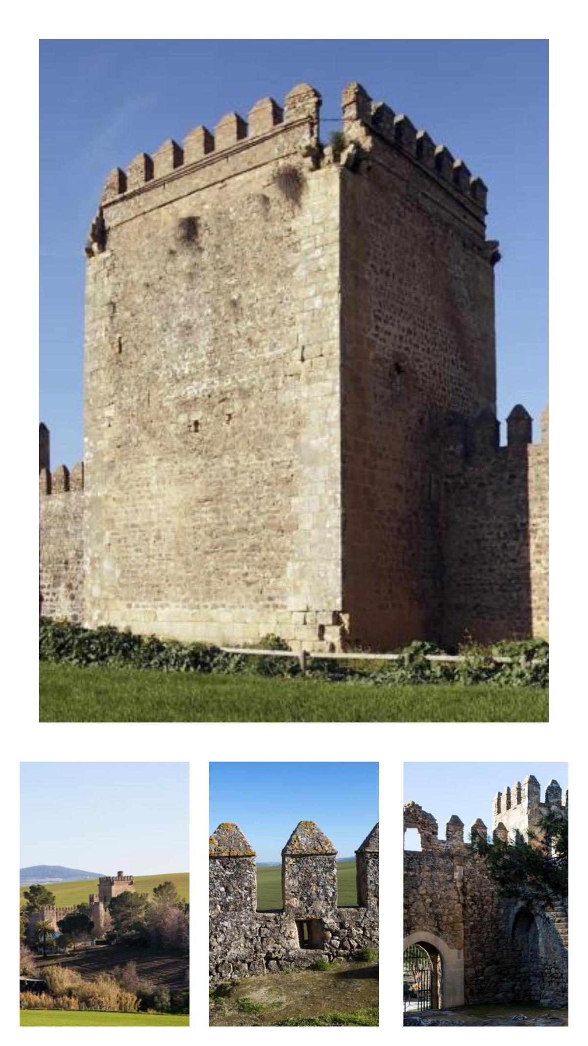 Vistas del Castillo de Las Aguzaderas en El Coronil