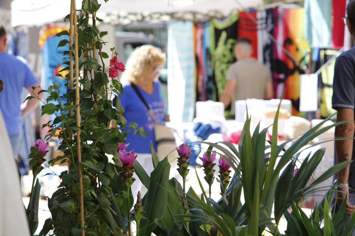 Montags in Manacor: Was es auf diesem Mallorca-Markt alles zu entdecken gibt