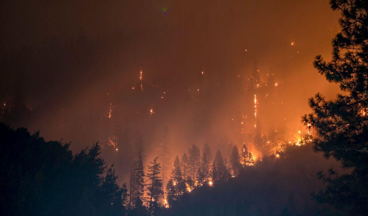 El humo de incendios forestales podría incrementar las agresiones violentas.