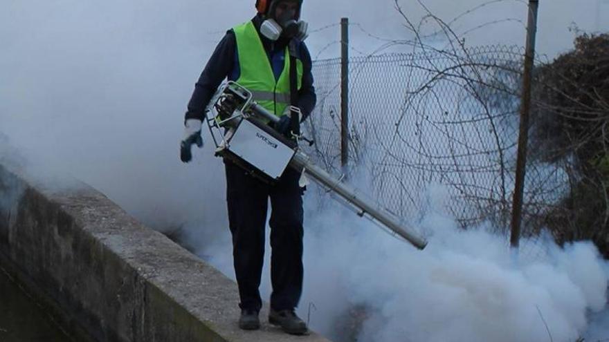 Vila-real intensifica el tratamiento antimosquitos en las zonas clave