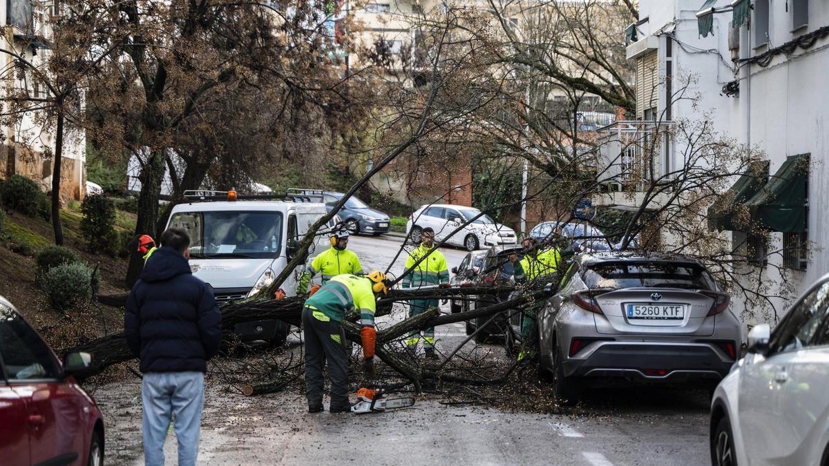 Video | Los efectos de la borrasca 'Leonardo' en Cáceres