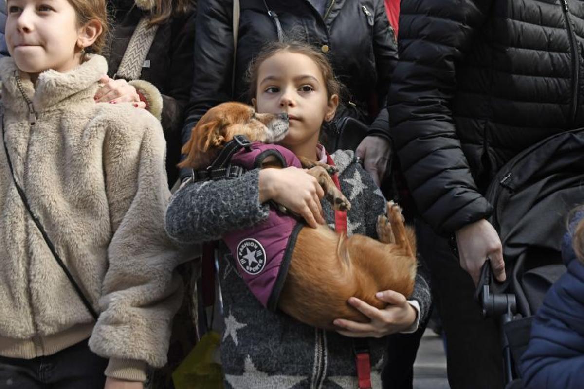 Bendición de animales en Els tres tombs