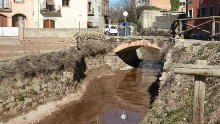 Sant Fruitós treballa per restaurar els ecosistemes fluvials