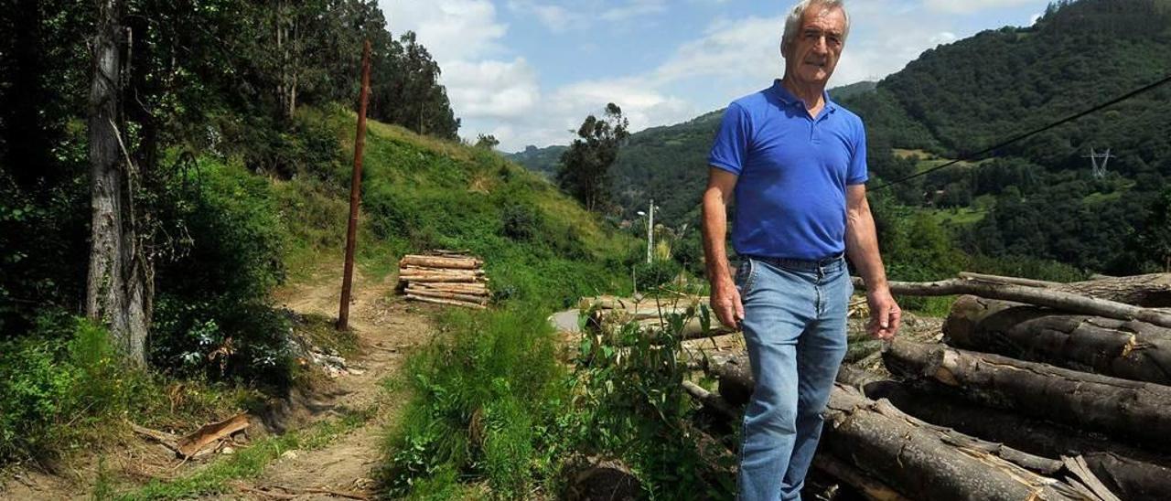 La cooperativa agraria tendrá un centro logístico en Mieres para vender castañas