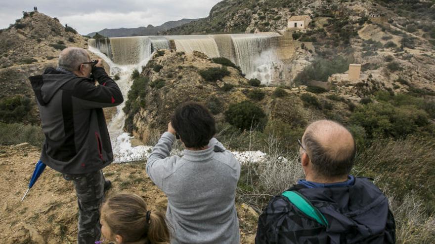 Pantano de Elche