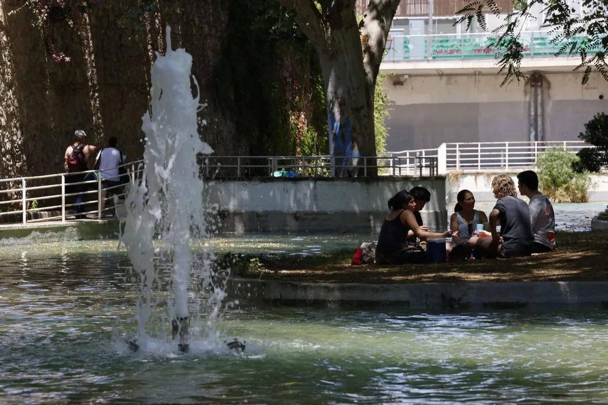 Jóvenes bajo la sombra de un árbol en Barcelona